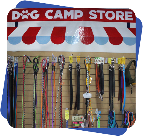 Accesorios para perro Dogcamp