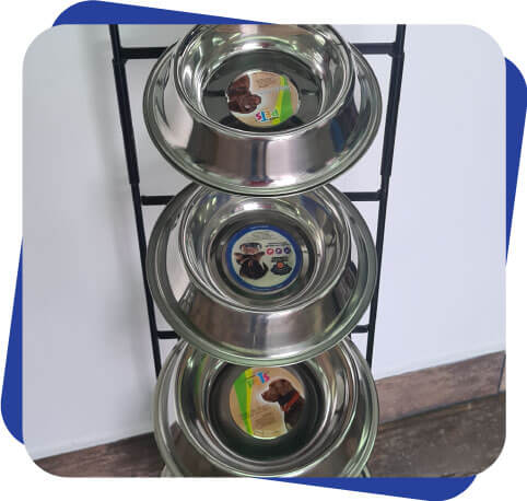 Accesorios para perro Dogcamp