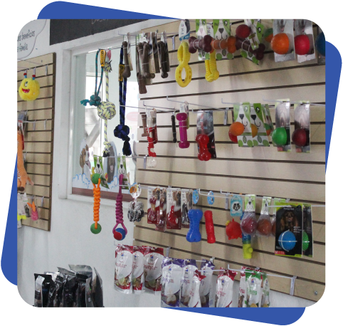 Accesorios para perro Dogcamp