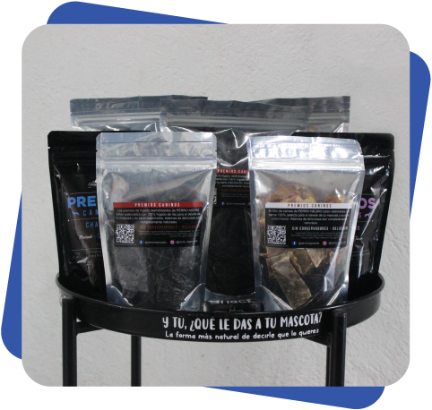 Accesorios para perro Dogcamp