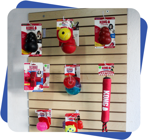 Accesorios para perro Dogcamp