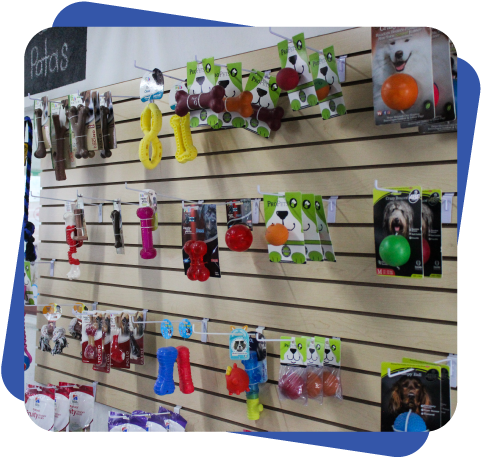 Accesorios para perro Dogcamp