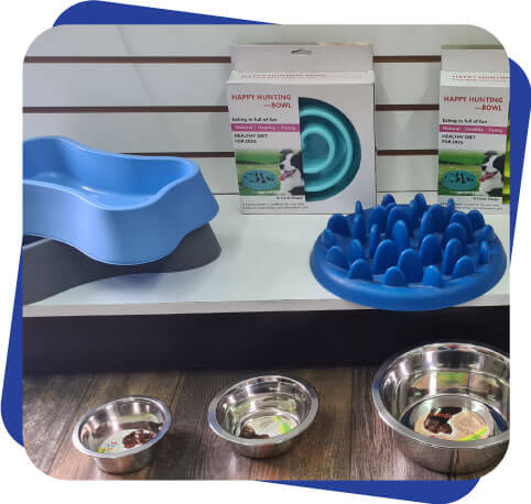 Accesorios para perro Dogcamp