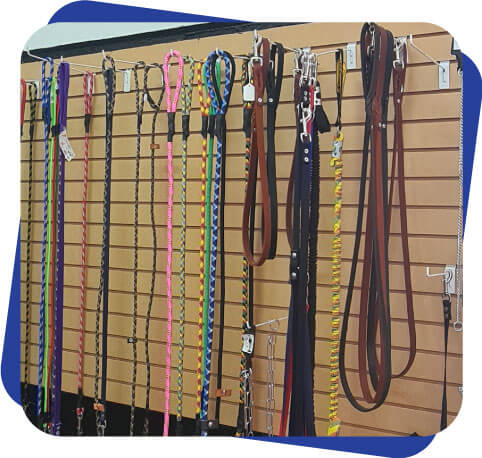 Accesorios para perro Dogcamp