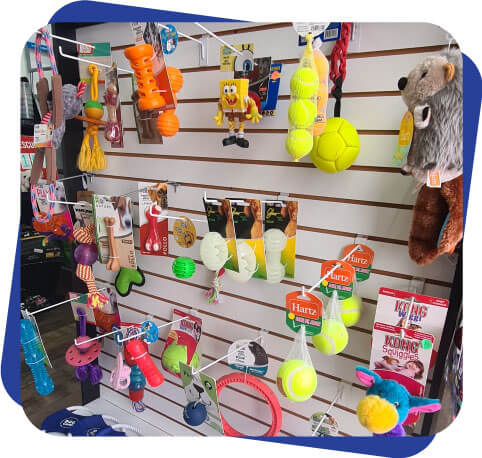 Accesorios para perro Dogcamp