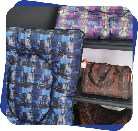 Accesorios para perro Dogcamp