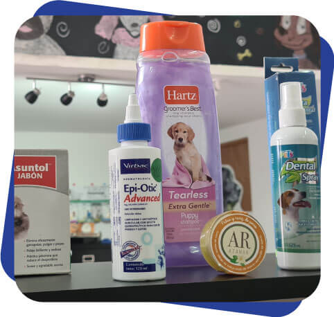 Accesorios para perro Dogcamp