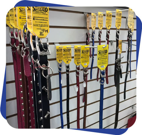 Accesorios para perro Dogcamp