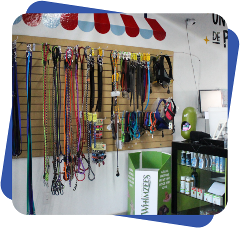 Accesorios para perro Dogcamp